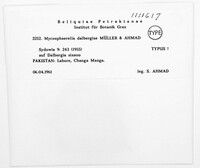 Image Associated With the Occurence